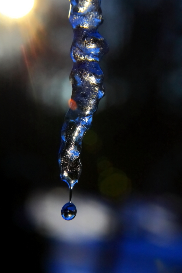 2011 01 13 IMG 16659e