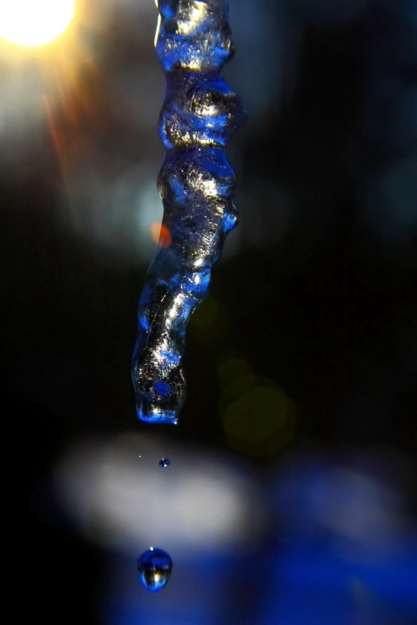 2011 01 13 IMG 16661e