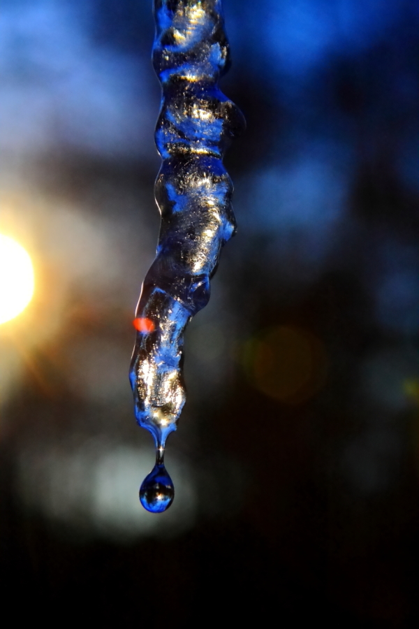 2011 01 13 IMG 16670e