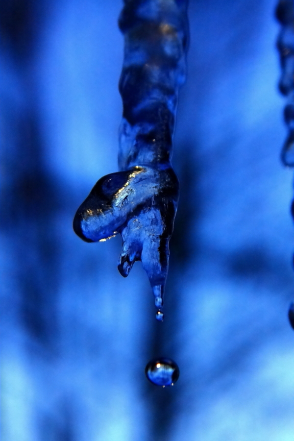 2011 01 13 IMG 16775e