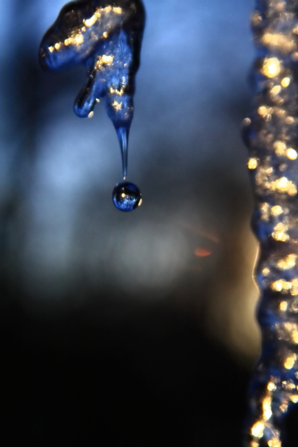 2011 01 13 IMG 16861