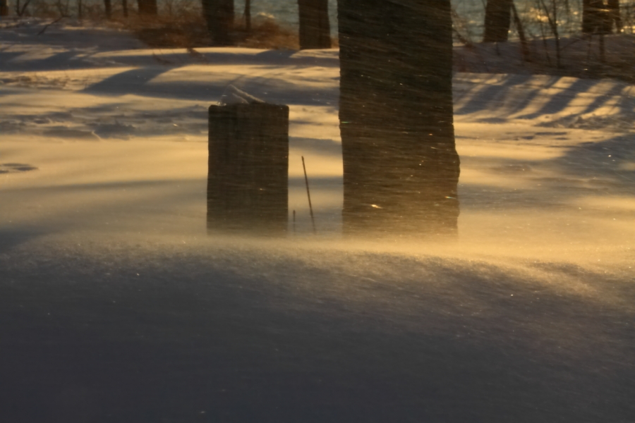 2011 01 21 IMG 17529