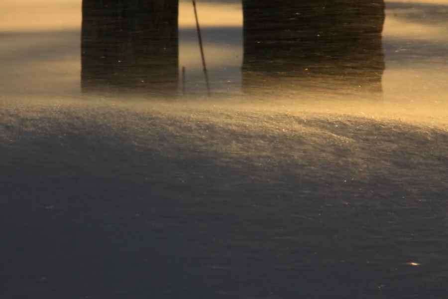 2011 01 21 IMG 17534