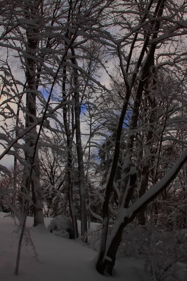 2011 01 27 IMG 18923e