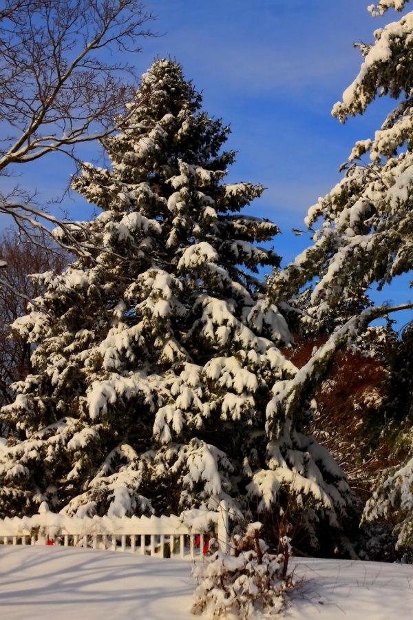2011 01 27 IMG 18954e