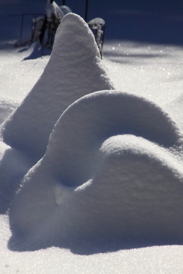 2011 01 27 IMG 19108