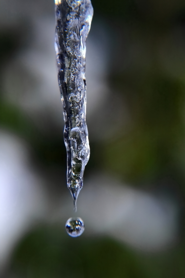 2011 01 27 IMG 19185e