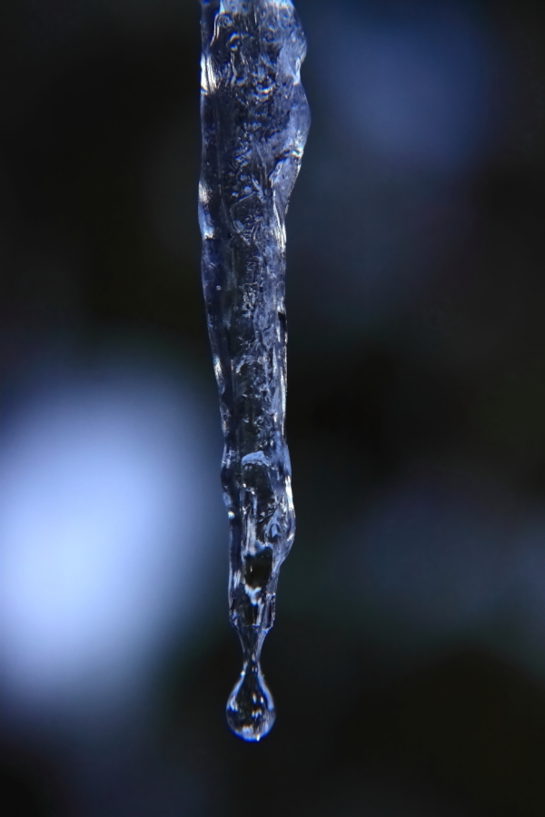 2011 01 27 IMG 19208e