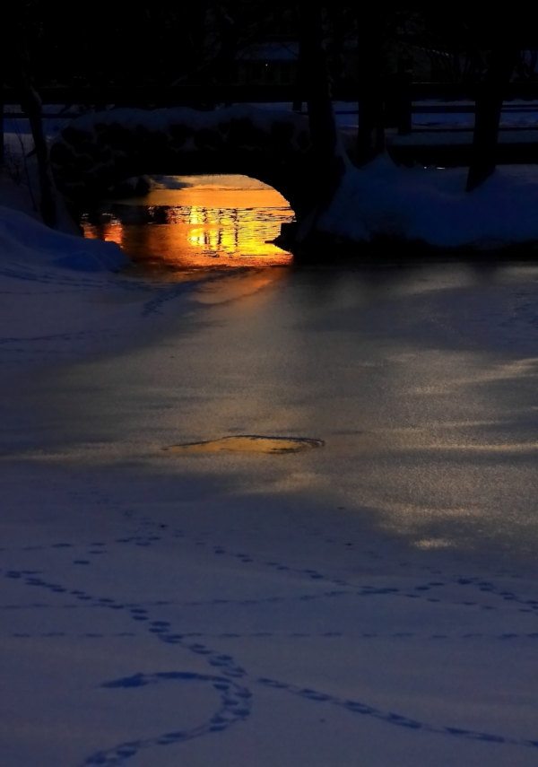 2011 01 31 IMG 19885e