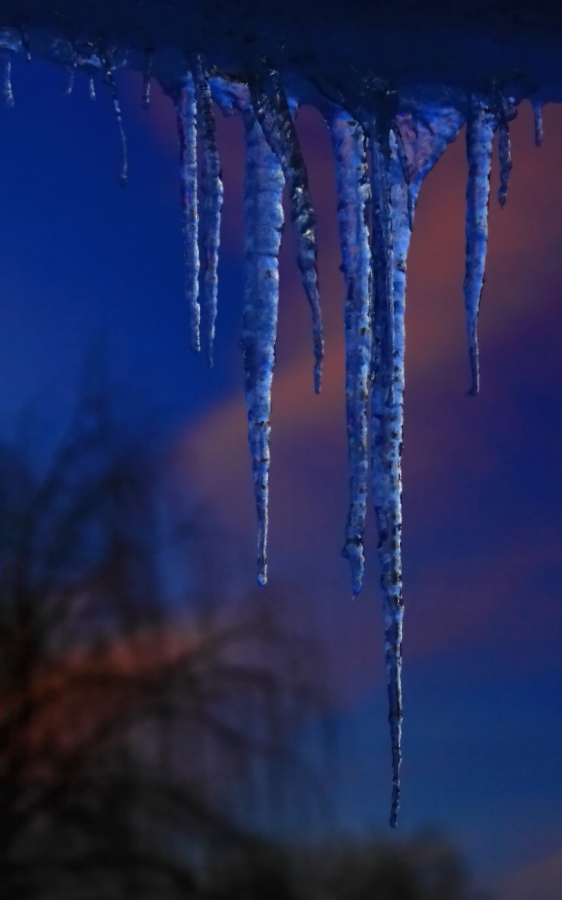 2011 01 31 IMG 19942e