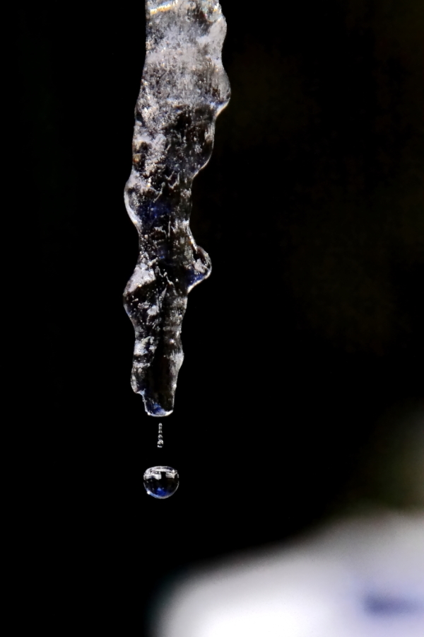 2011 02 22 IMG 21881e