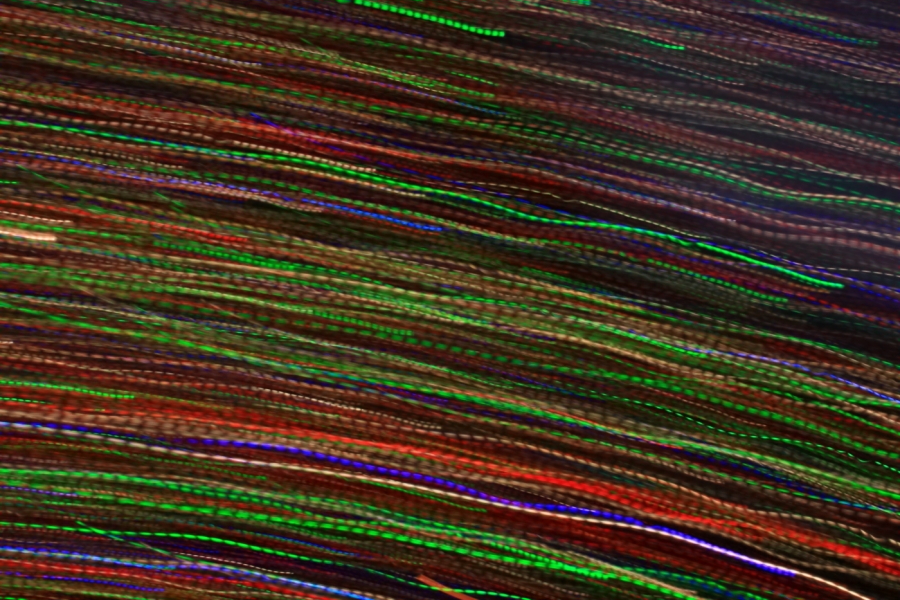2011 12 30 4510