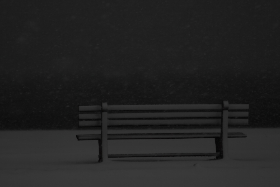2013 02 08 IMG 3720