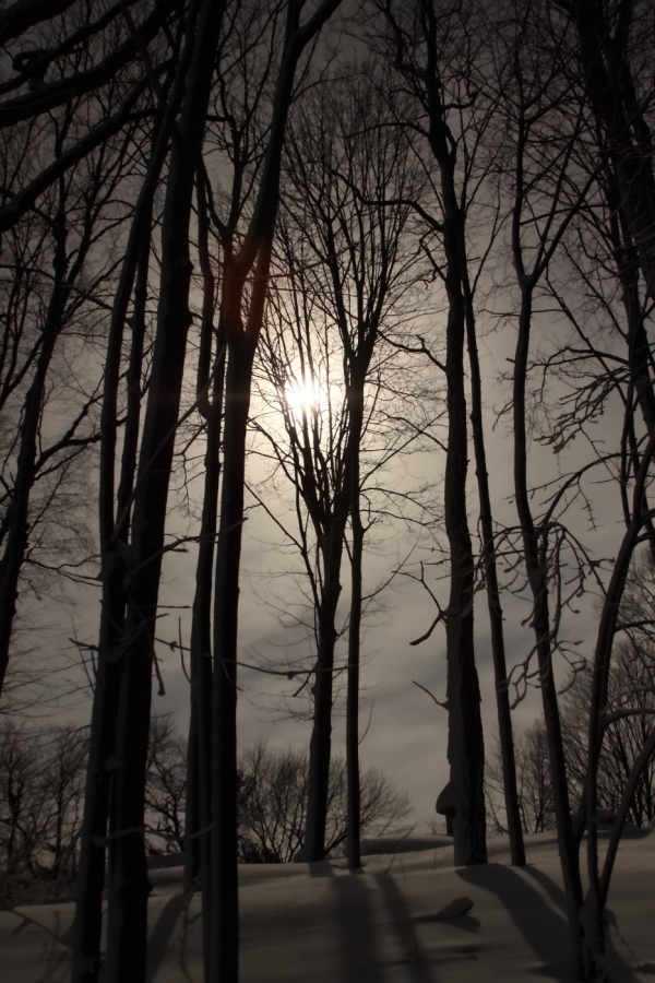 2013 02 09 IMG 3801