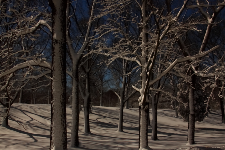 2013 02 09 IMG 3955e