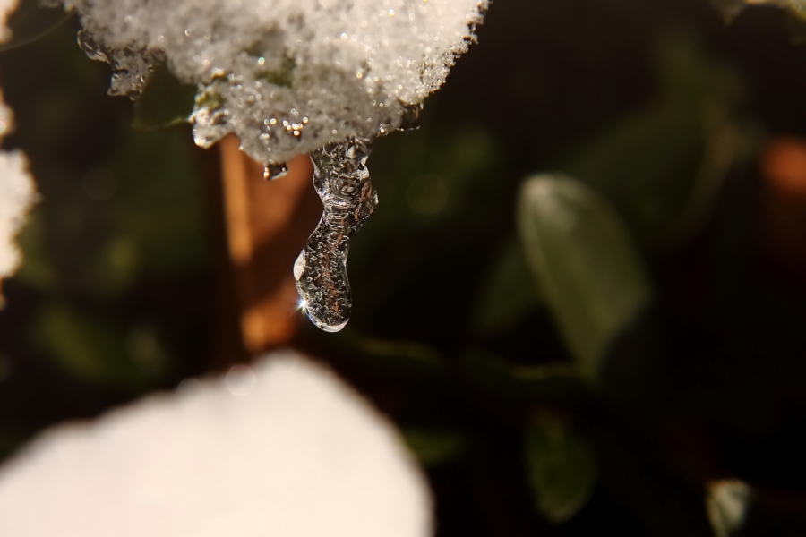 2013 12 11 HTP 19056e