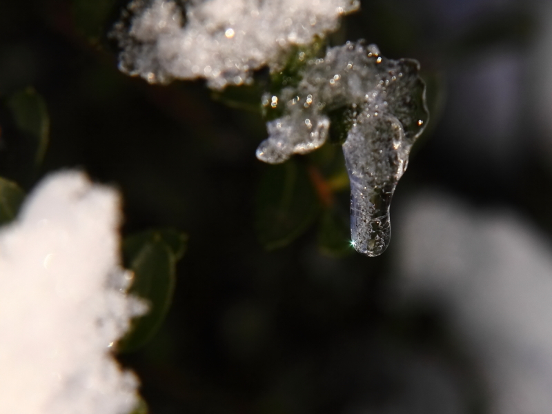 2013 12 11 HTP 19090e