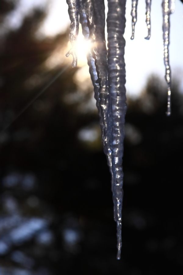 2014 01 04 HTP 22462e