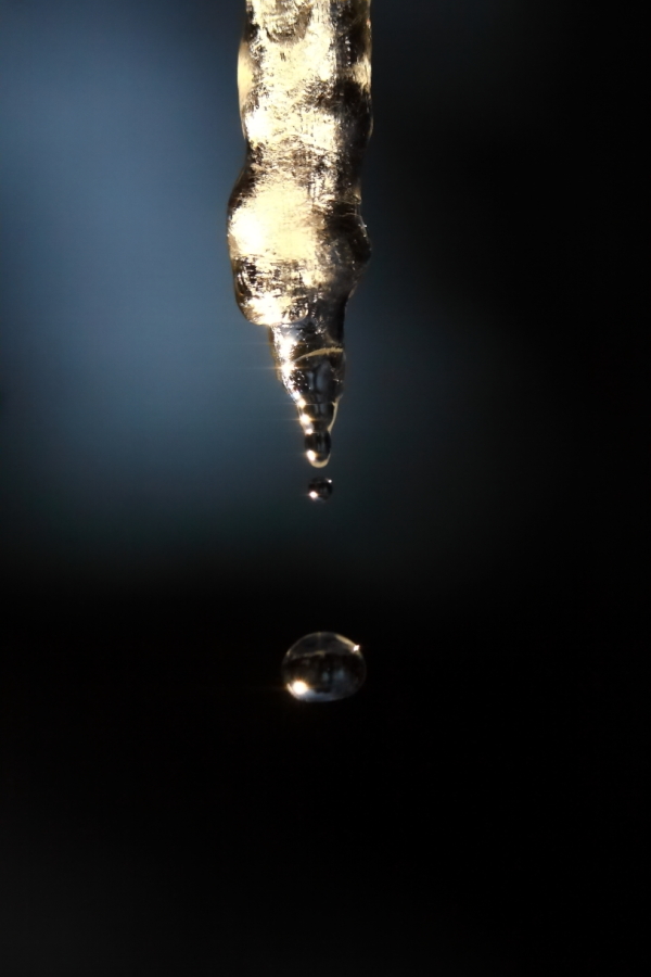 2014 01 04 HTP 22631e