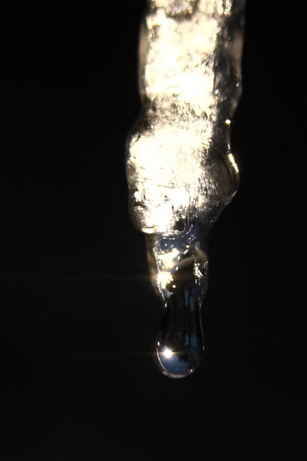 2014 01 04 HTP 22652e