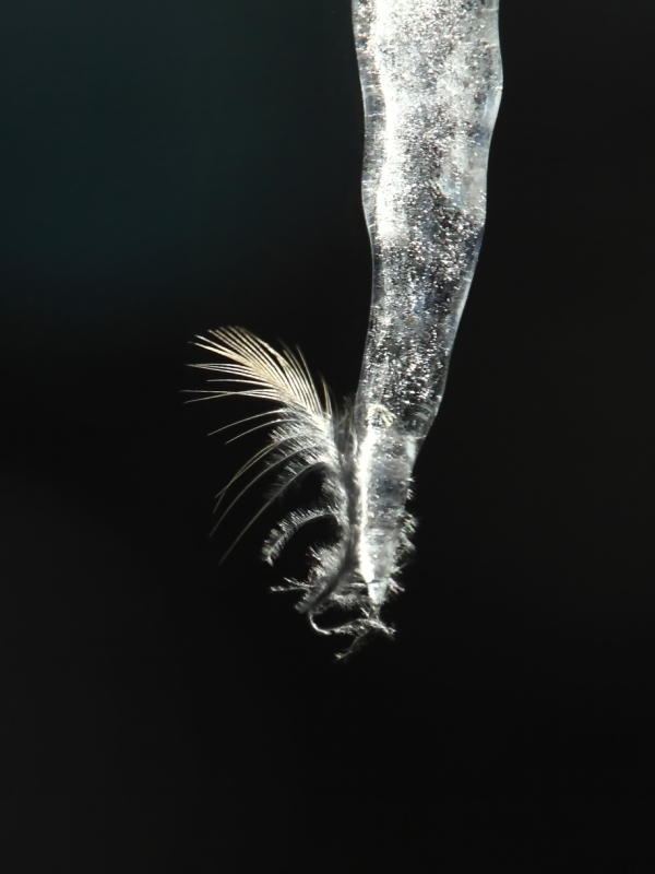 2014 01 26 HTP 26273e