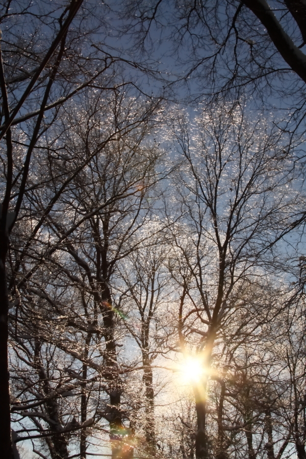 2014 02 06 HTP 30302