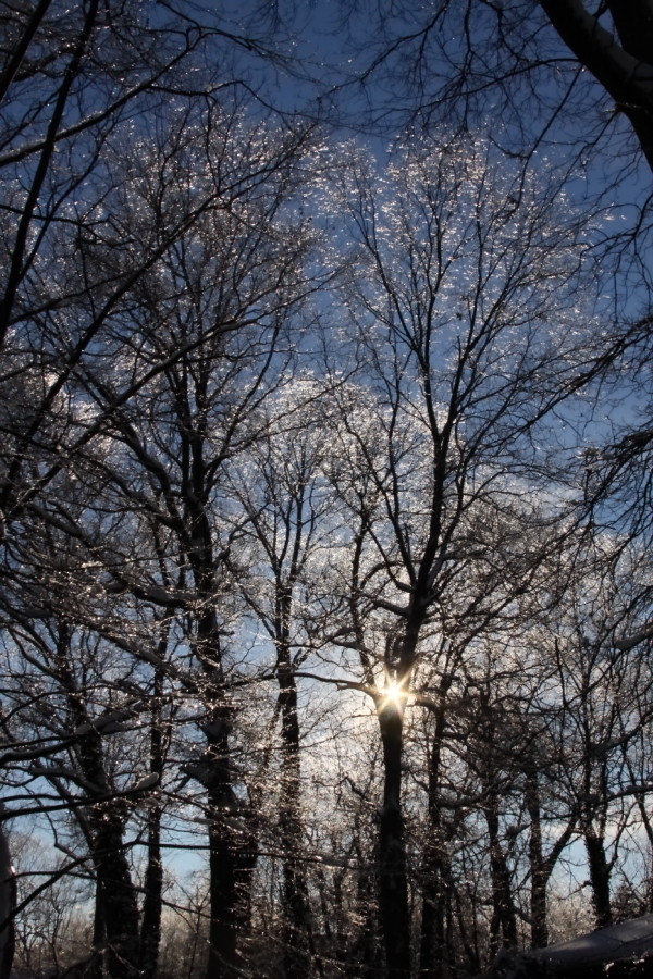 2014 02 06 HTP 30326