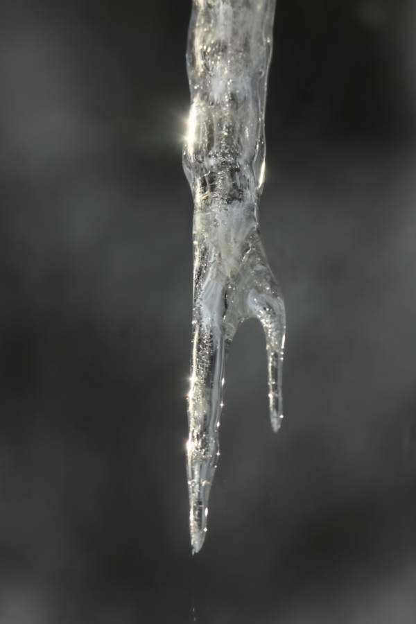 2014 02 09 HTP 30639