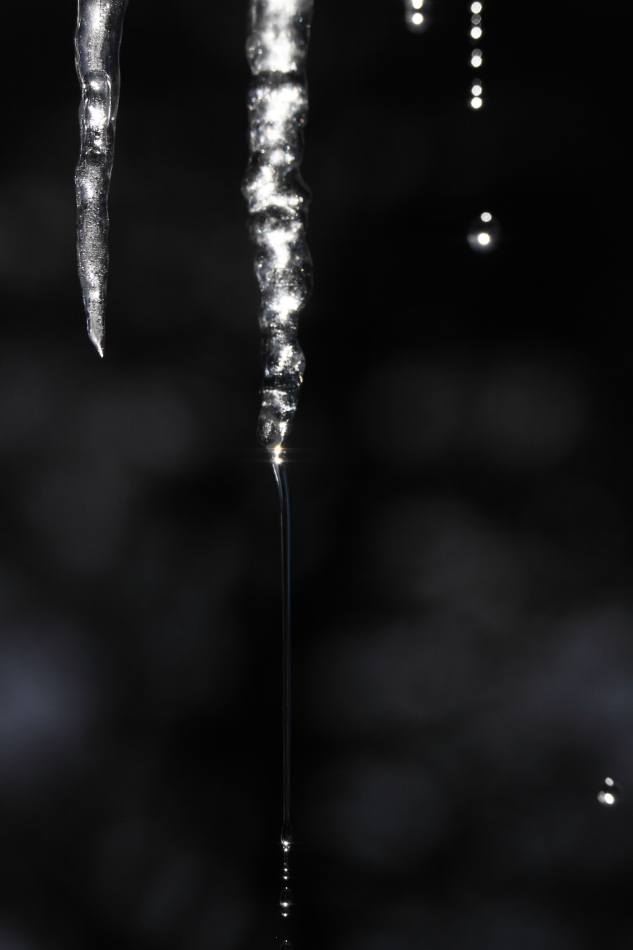 2015 01 29 HTP 000021762