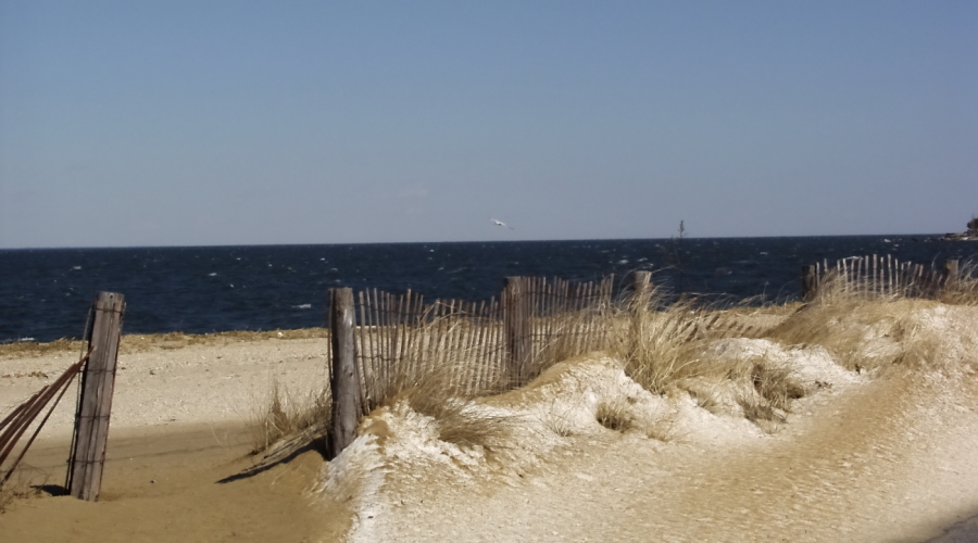 P3207688crop2
