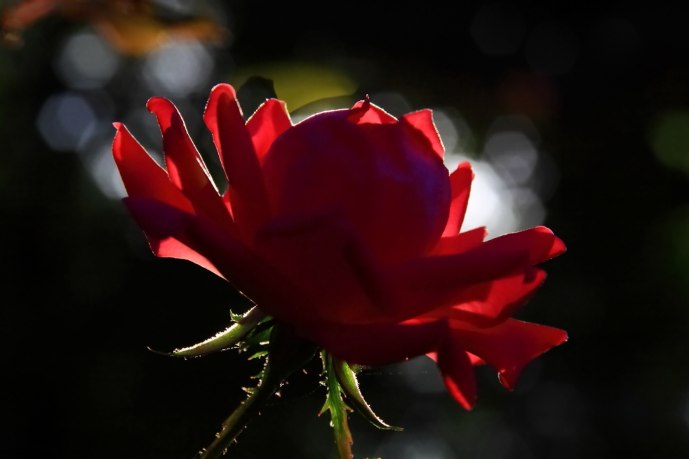 2010 09 21 IMG 09326e