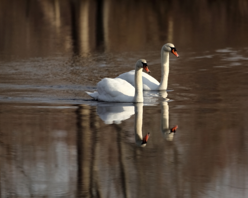2013 03 31 IMG 01244e