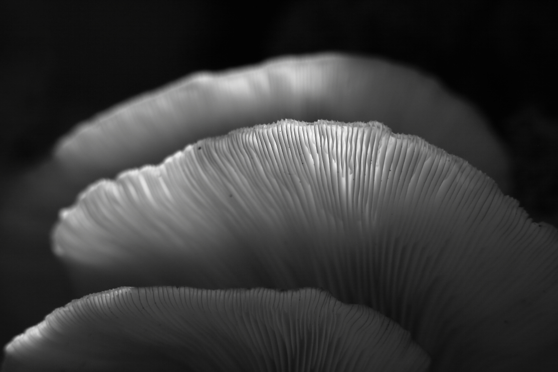 2014 09 14 HTP 86815ebw