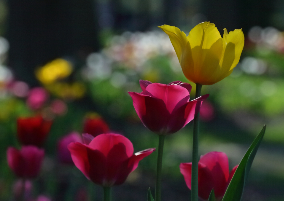 2015 05 08 HTP 000050753ee