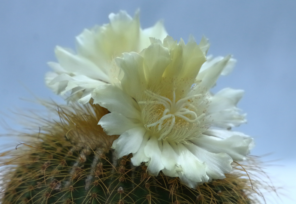 2015 05 11 HTP 000051924e
