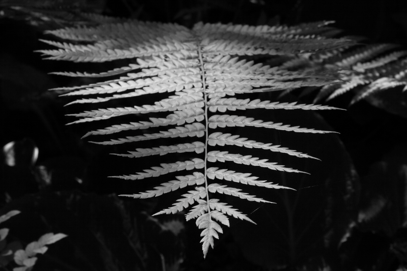 2015 06 07 HTP 000063869
