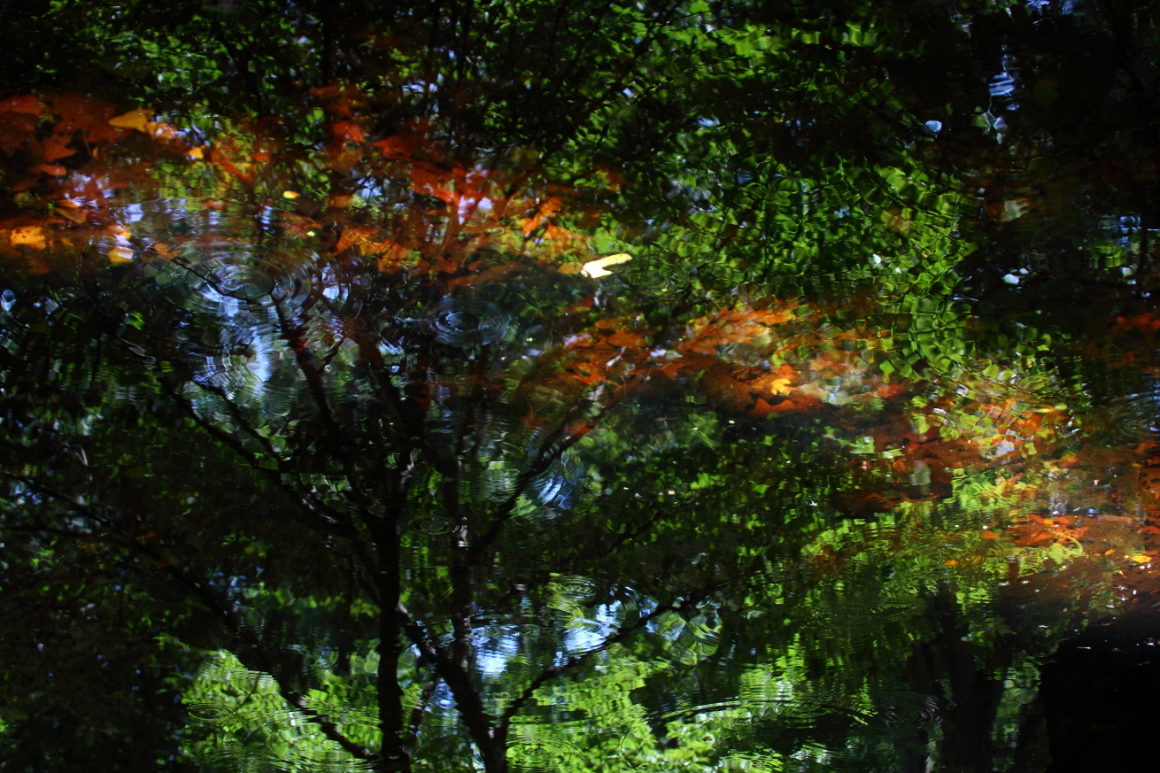 2015 07 20 HTP 000071953e