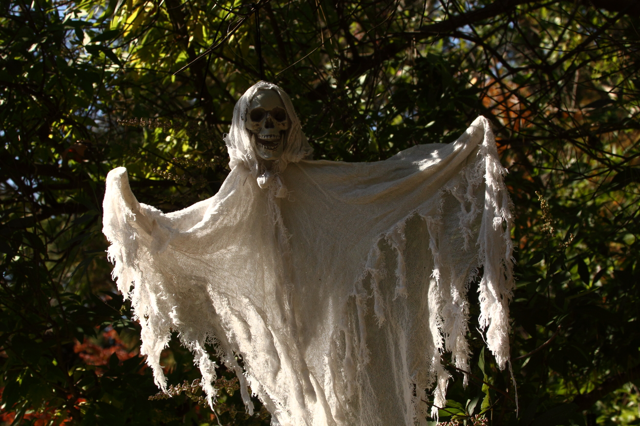 2015 10 30 HTP 000081647e