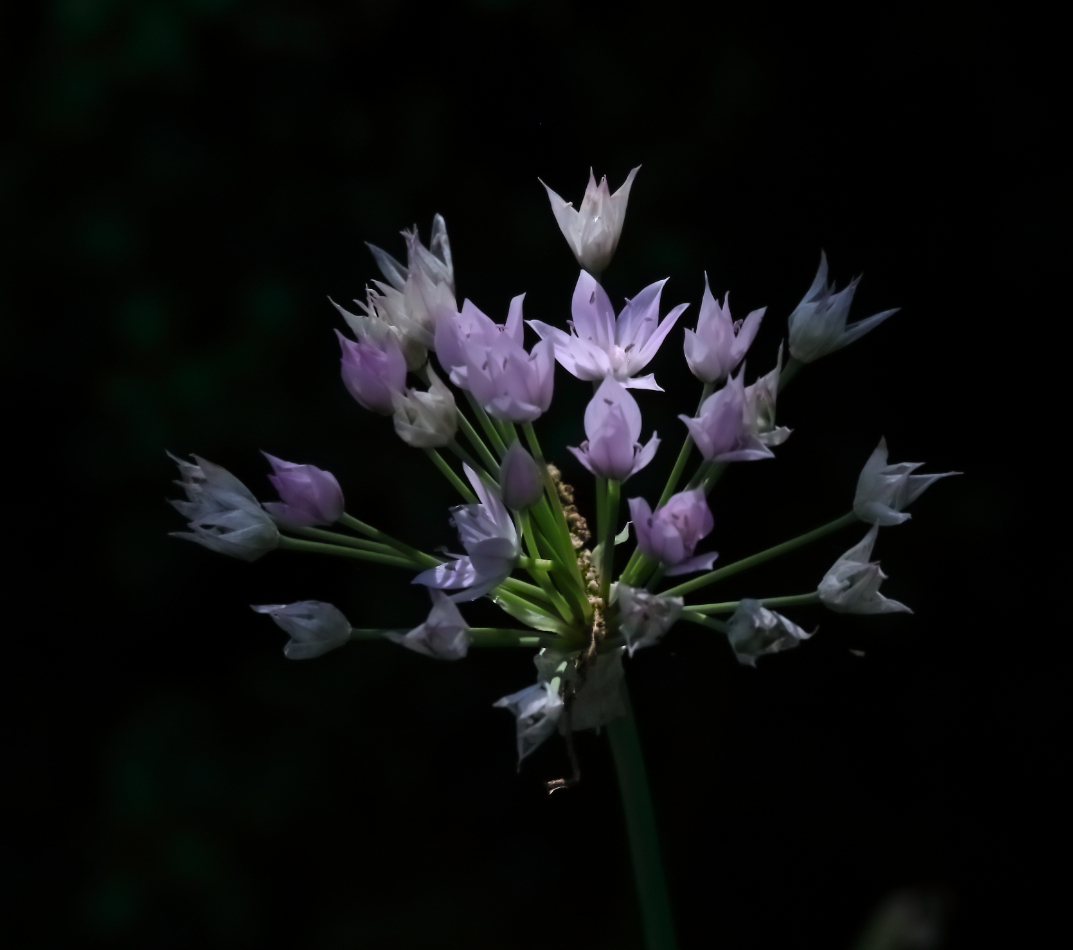 2018 06 17 HTP 29622e