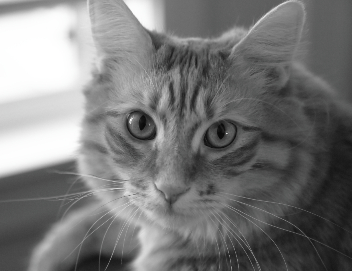 2019 05 29 HTP 90009bw