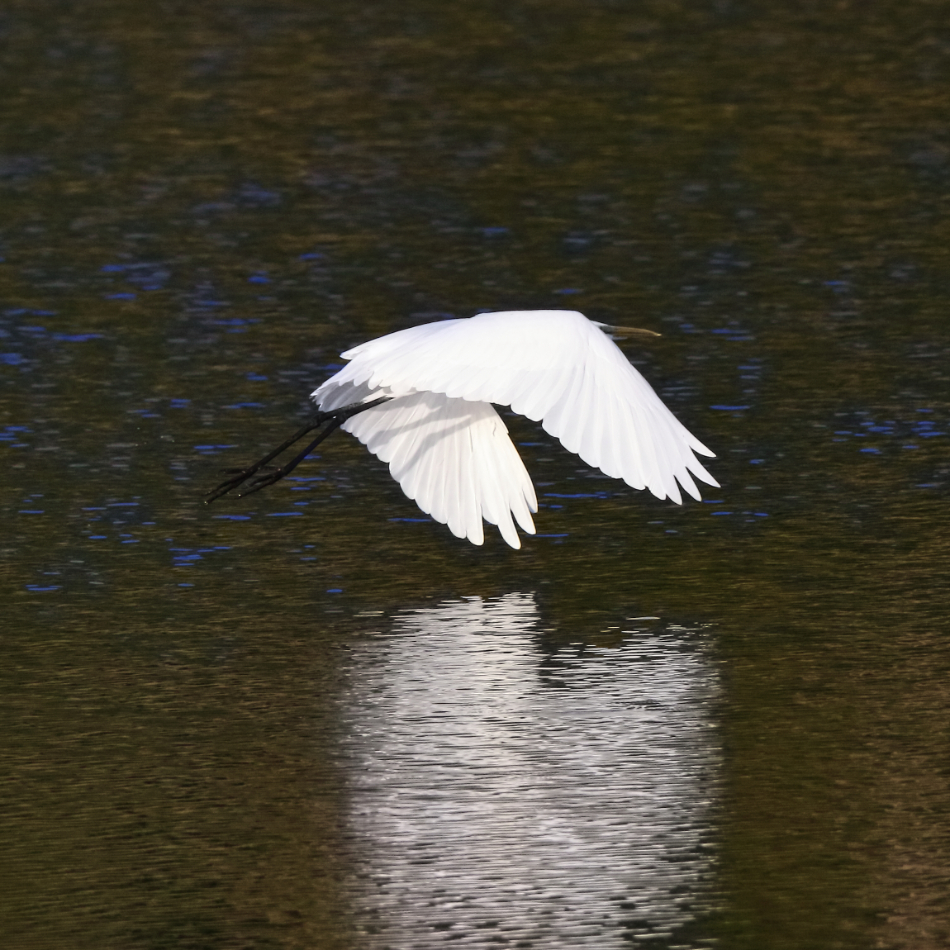 2020 10 01 HTP 90881e