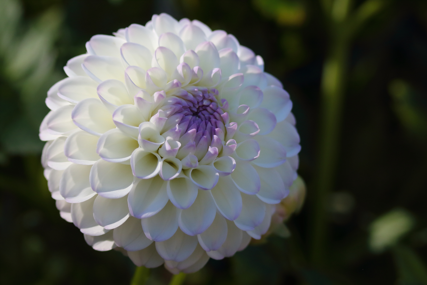 2020 10 03 HTP 90702e