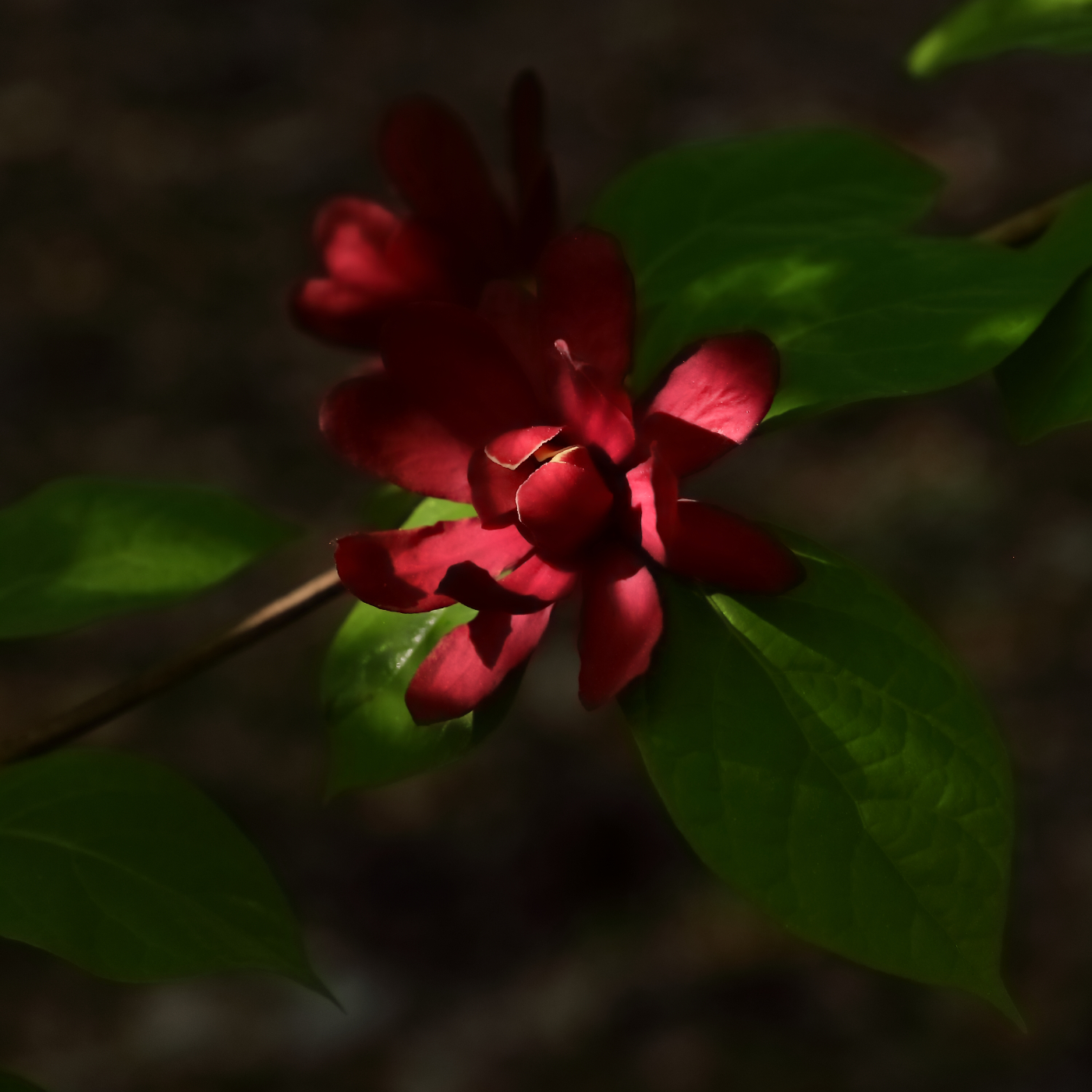 2025 05 10 HTP 50268e5
